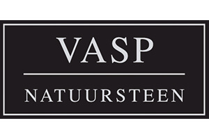 Logo VASP